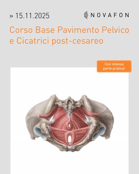 Corso Base Pavimento Pelvico e Cicatrici post-cesareo 15.11.2025