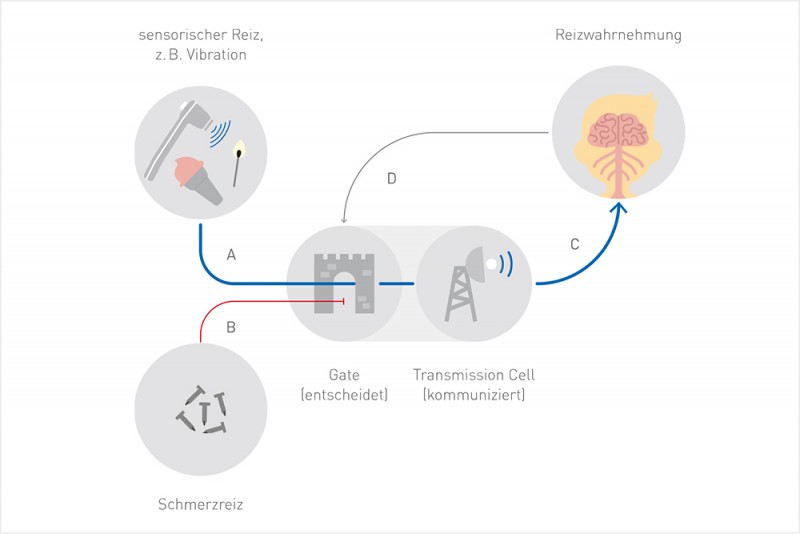 Die „Gate-Control“ Theorie